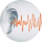 Voice Analysis Depth